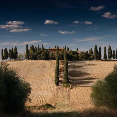 Visafishaji vya sakafu na nyuso