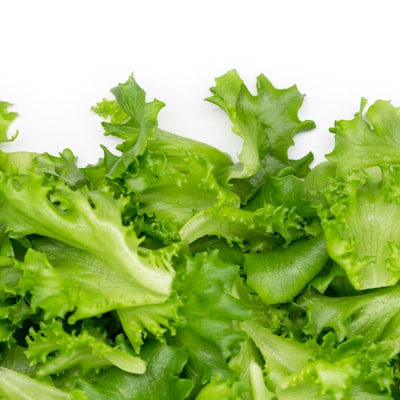 Lettuce (Iceberg, Romaine, Butterhead)