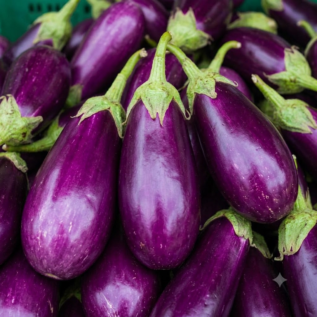 Biringanya (Eggplant)