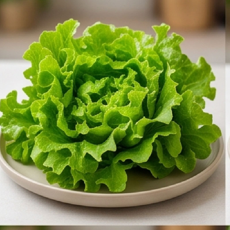 Lettuce
